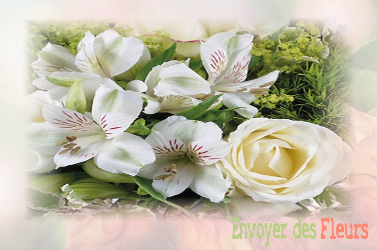 envoyer des fleurs à à SAINT-DIDIER-SUR-DOULON